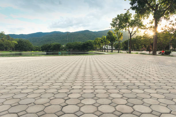 Professional Driveway Pavers in Minerva Park, OH